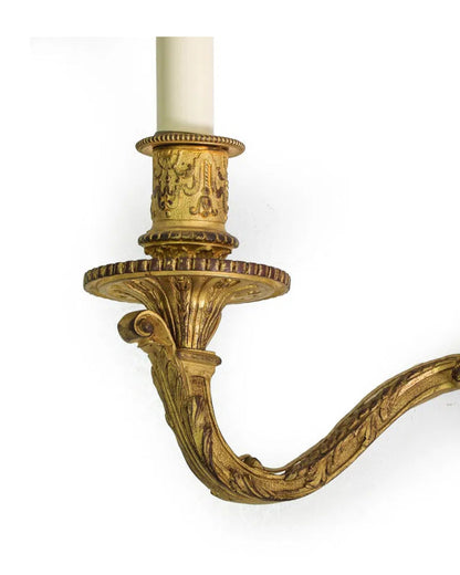Pair of Louis XV Style Gilt Bronze Two-Light Sconces