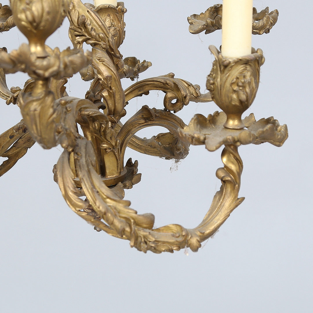 20th Century Louis XV Style Gilt Bronze Chandelier from Sweden
